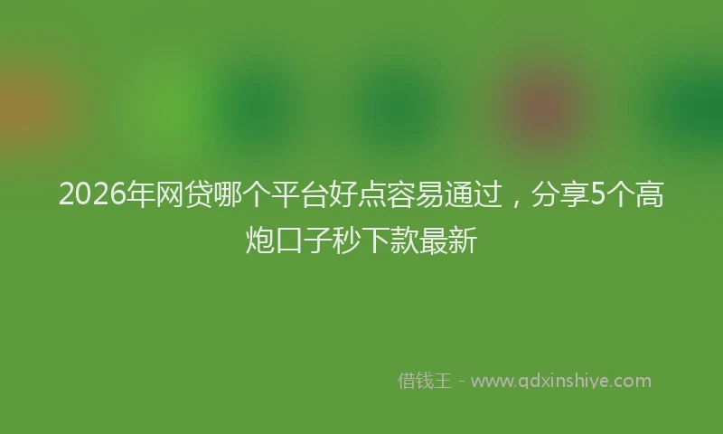 2026年网贷哪个平台好点容易通过，分享5个高炮口子秒下款最新