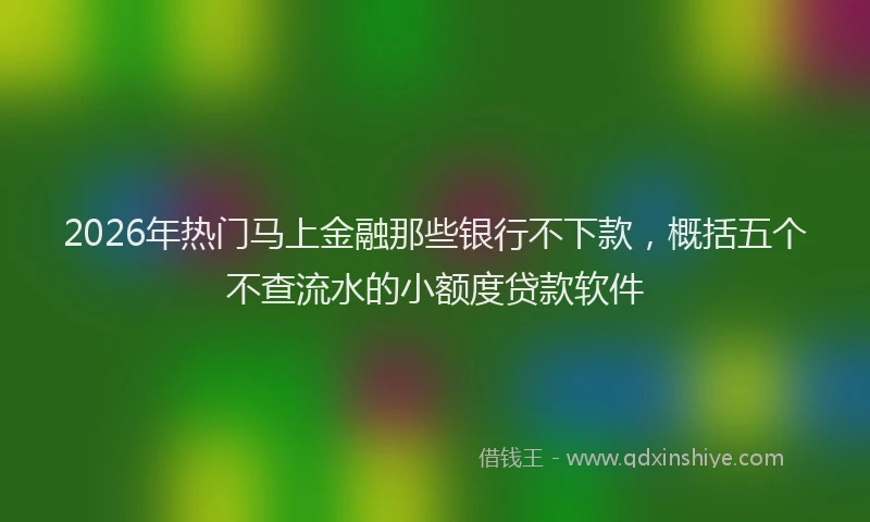2026年热门马上金融那些银行不下款，概括五个不查流水的小额度贷款软件