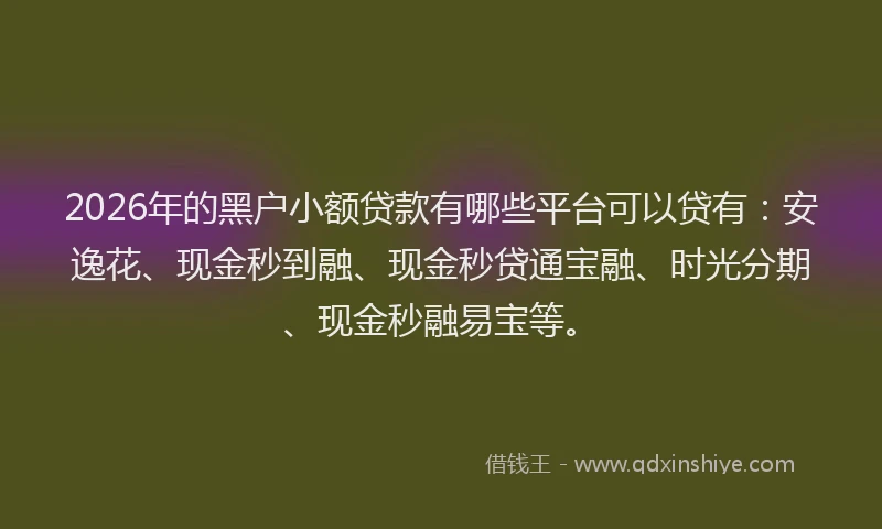 2026年的黑户小额贷款有哪些平台可以贷有：安逸花、现金秒到融、现金秒贷通宝融、时光分期、现金秒融易宝等。