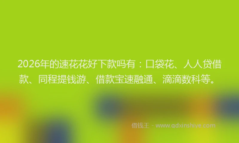 2026年的速花花好下款吗有:口袋花、人人贷借款、同程提钱游、借款宝速融通、滴滴数科等。