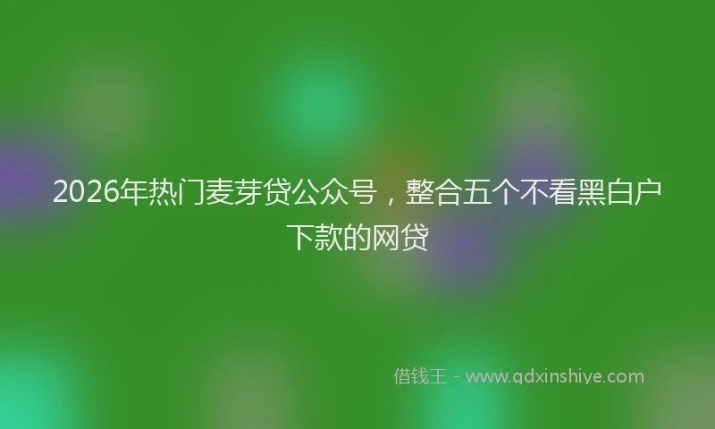 2026年热门麦芽贷公众号，整合五个不看黑白户下款的网贷