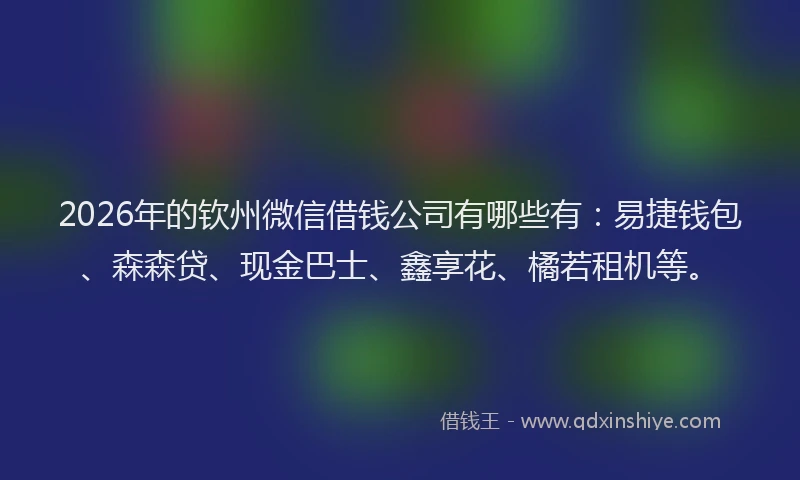 2026年的钦州微信借钱公司有哪些有:易捷钱包、森森贷、现金巴士、鑫享花、橘若租机等。