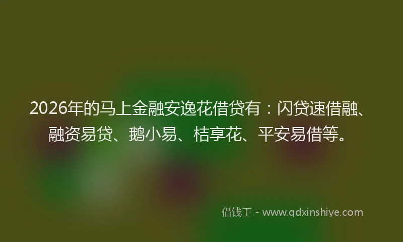2026年的马上金融安逸花借贷有:闪贷速借融、融资易贷、鹅小易、桔享花、平安易借等。