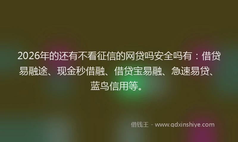 2026年的还有不看征信的网贷吗安全吗有：借贷易融途、现金秒借融、借贷宝易融、急速易贷、蓝鸟信用等。