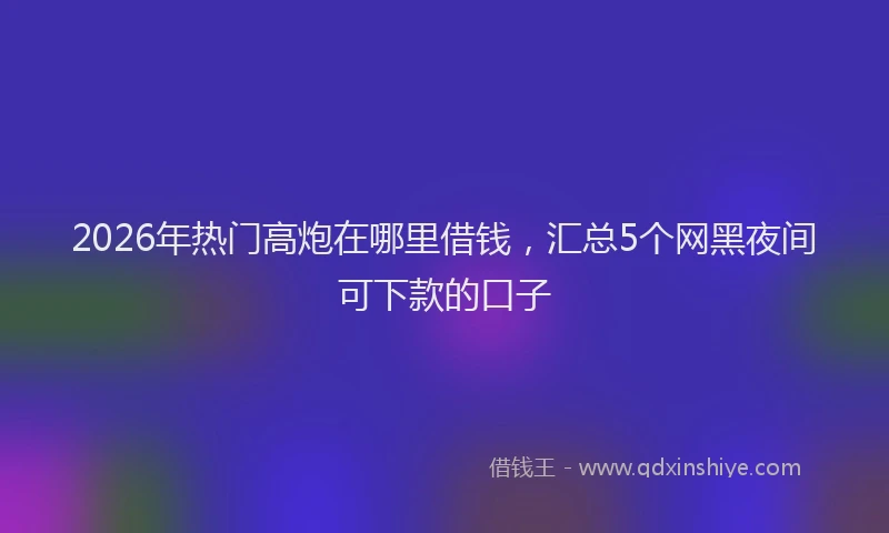 2026年热门高炮在哪里借钱，汇总5个网黑夜间可下款的口子