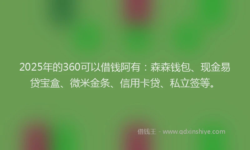 2025年的360可以借钱阿有：森森钱包、现金易贷宝盒、微米金条、信用卡贷、私立签等。