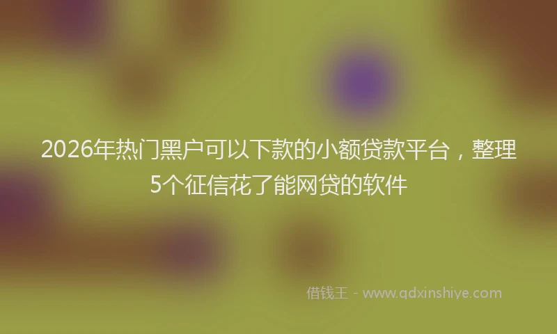 2026年热门黑户可以下款的小额贷款平台，整理5个征信花了能网贷的软件