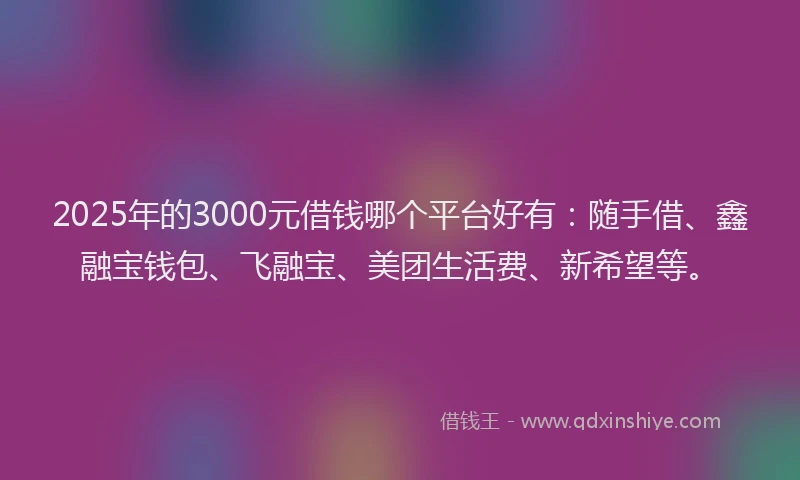 2025年的3000元借钱哪个平台好有：随手借、鑫融宝钱包、飞融宝、美团生活费、新希望等。