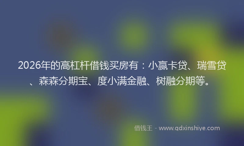 2026年的高杠杆借钱买房有：小赢卡贷、瑞雪贷、森森分期宝、度小满金融、树融分期等。