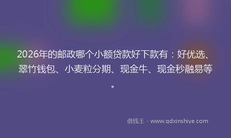 2026年的邮政哪个小额贷款好下款有：好优选、翠竹钱包、小麦粒分期、现金牛、现金秒融易等。