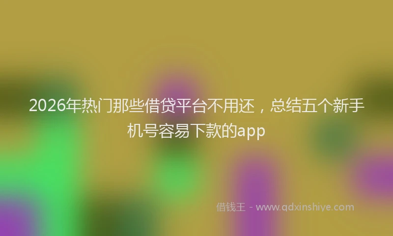 2026年热门那些借贷平台不用还,总结五个新手机号容易下款的app