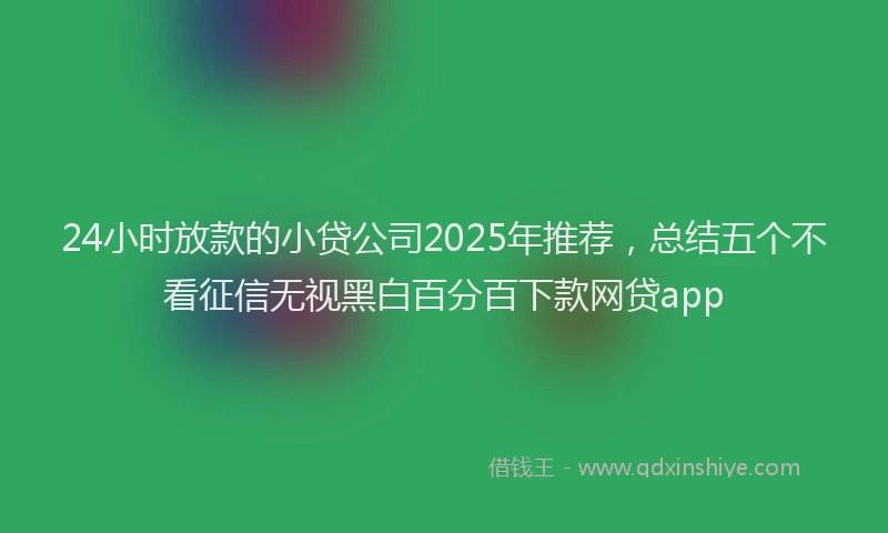 24小时放款的小贷公司2025年推荐，总结五个不看征信无视黑白百分百下款网贷app