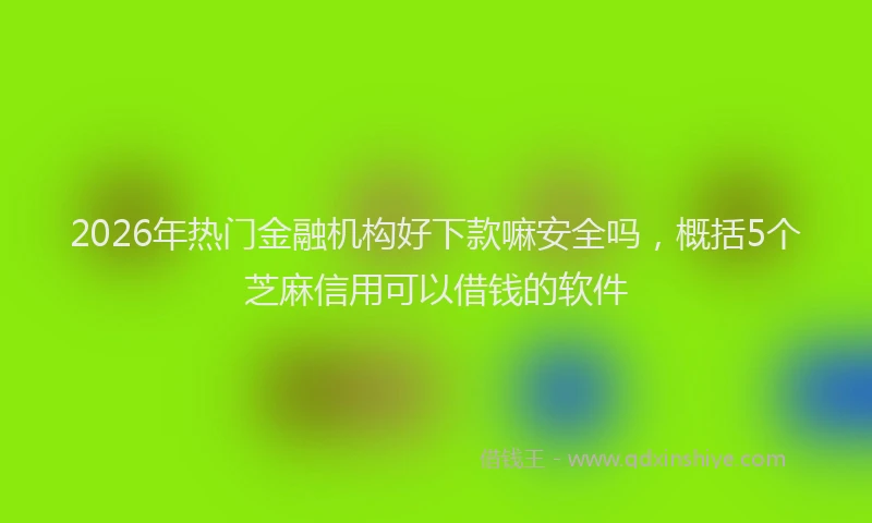 2026年热门金融机构好下款嘛安全吗，概括5个芝麻信用可以借钱的软件