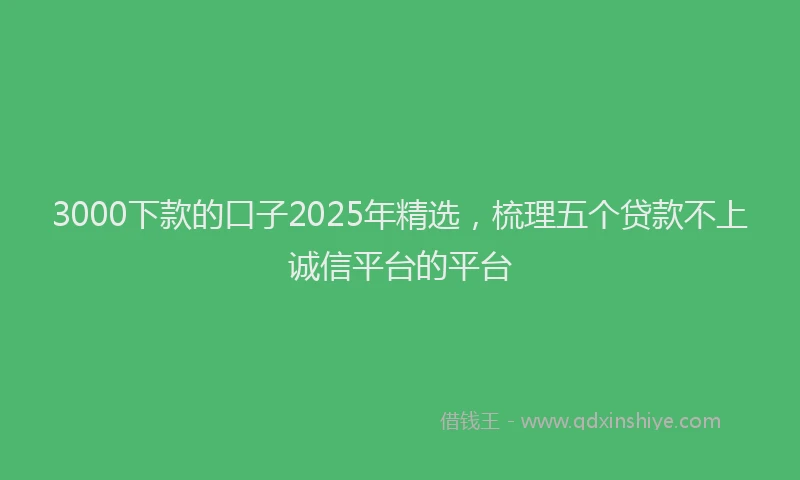 3000下款的口子2025年精选，梳理五个贷款不上诚信平台的平台