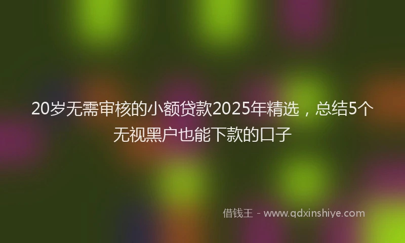 20岁无需审核的小额贷款2025年精选,总结5个无视黑户也能下款的口子