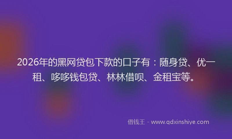 2026年的黑网贷包下款的口子有：随身贷、优一租、哆哆钱包贷、林林借呗、金租宝等。