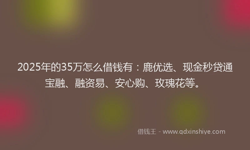2025年的35万怎么借钱有：鹿优选、现金秒贷通宝融、融资易、安心购、玫瑰花等。