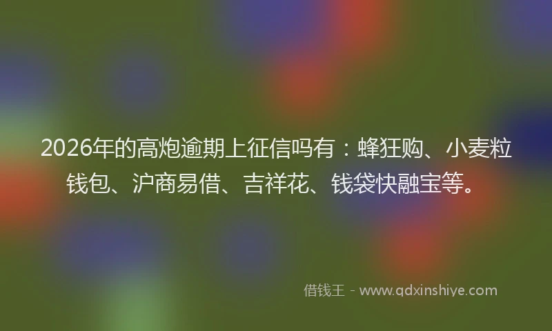 2026年的高炮逾期上征信吗有：蜂狂购、小麦粒钱包、沪商易借、吉祥花、钱袋快融宝等。