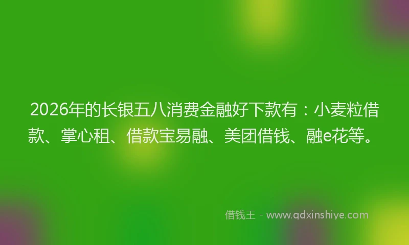2026年的长银五八消费金融好下款有：小麦粒借款、掌心租、借款宝易融、美团借钱、融e花等。