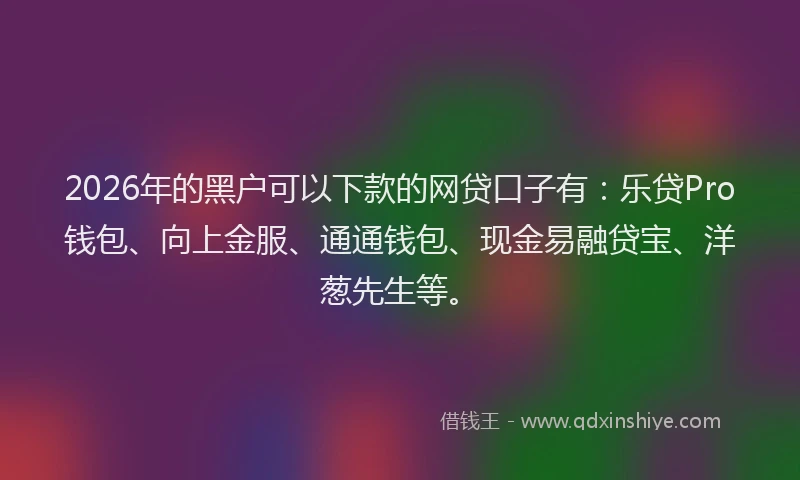 2026年的黑户可以下款的网贷口子有：乐贷Pro钱包、向上金服、通通钱包、现金易融贷宝、洋葱先生等。