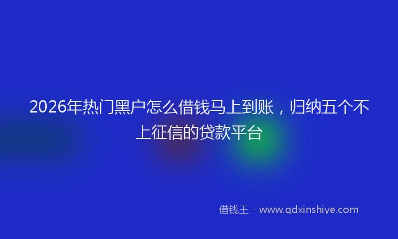 2026年热门黑户怎么借钱马上到账，归纳五个不上征信的贷款平台