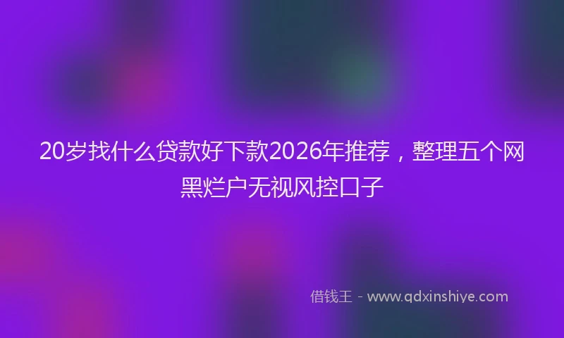 20岁找什么贷款好下款2026年推荐,整理五个网黑烂户无视风控口子
