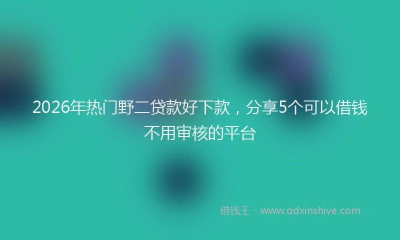 2026年热门野二贷款好下款，分享5个可以借钱不用审核的平台