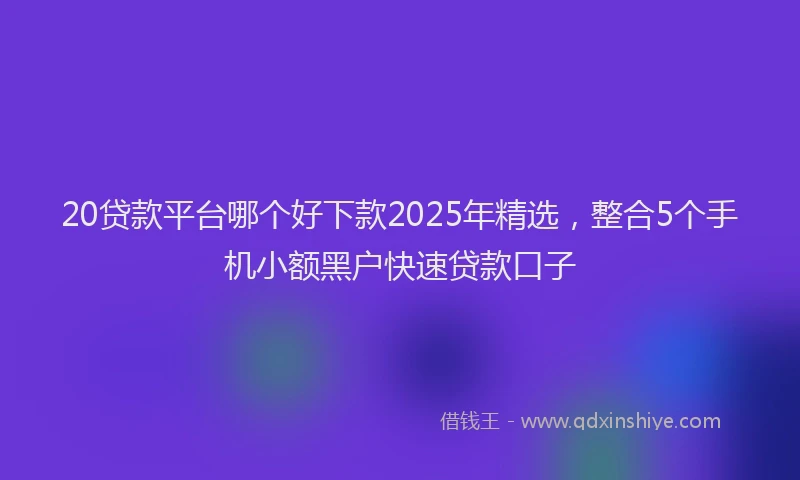 20贷款平台哪个好下款2025年精选，整合5个手机小额黑户快速贷款口子