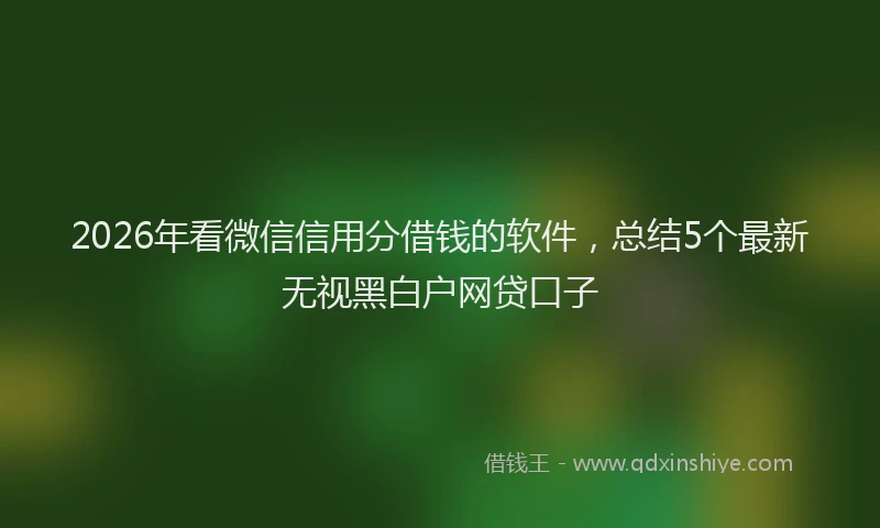 2026年看微信信用分借钱的软件，总结5个最新无视黑白户网贷口子