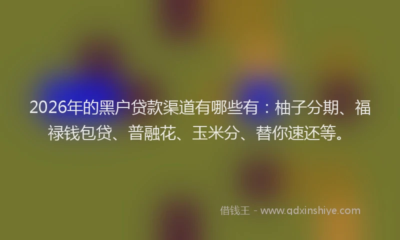 2026年的黑户贷款渠道有哪些有：柚子分期、福禄钱包贷、普融花、玉米分、替你速还等。