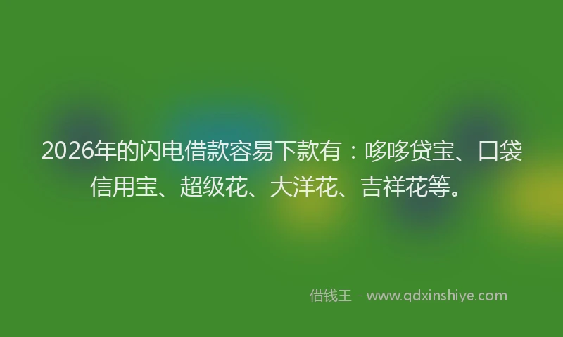 2026年的闪电借款容易下款有：哆哆贷宝、口袋信用宝、超级花、大洋花、吉祥花等。