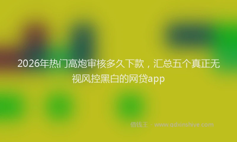 2026年热门高炮审核多久下款，汇总五个真正无视风控黑白的网贷app