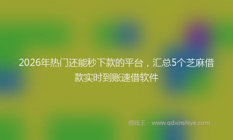 2026年热门还能秒下款的平台，汇总5个芝麻借款实时到账速借软件