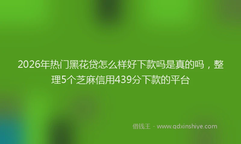 2026年热门黑花贷怎么样好下款吗是真的吗，整理5个芝麻信用439分下款的平台
