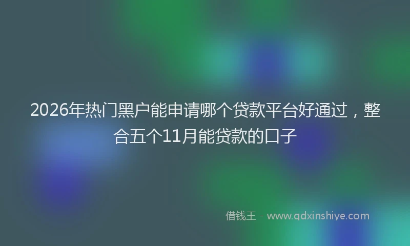 2026年热门黑户能申请哪个贷款平台好通过，整合五个11月能贷款的口子