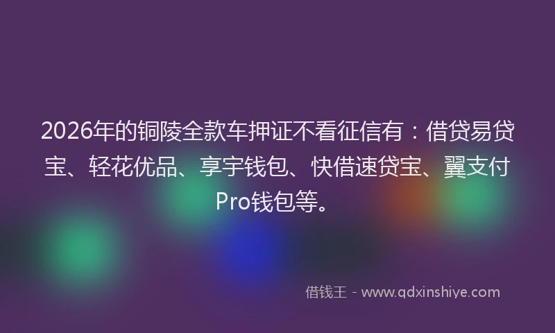 2026年的铜陵全款车押证不看征信有:借贷易贷宝、轻花优品、享宇钱包、快借速贷宝、翼支付Pro钱包等。