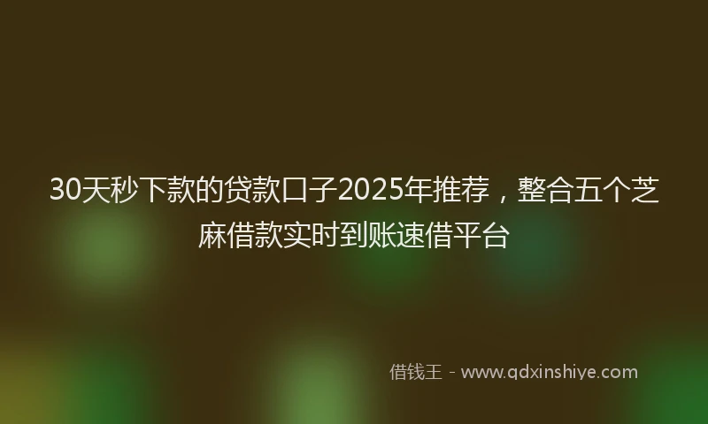 30天秒下款的贷款口子2025年推荐，整合五个芝麻借款实时到账速借平台