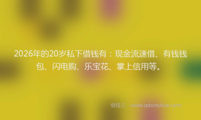 2026年的20岁私下借钱有：现金流速借、有钱钱包、闪电购、乐宝花、掌上信用等。