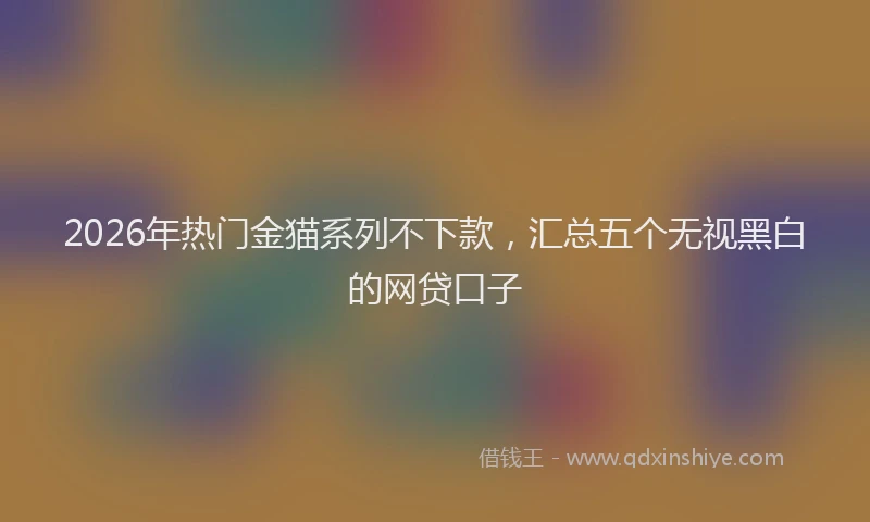 2026年热门金猫系列不下款，汇总五个无视黑白的网贷口子