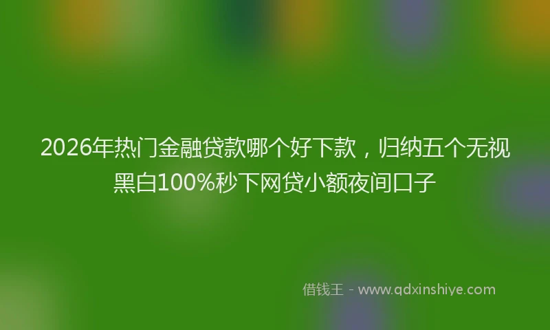 2026年热门金融贷款哪个好下款，归纳五个无视黑白100%秒下网贷小额夜间口子