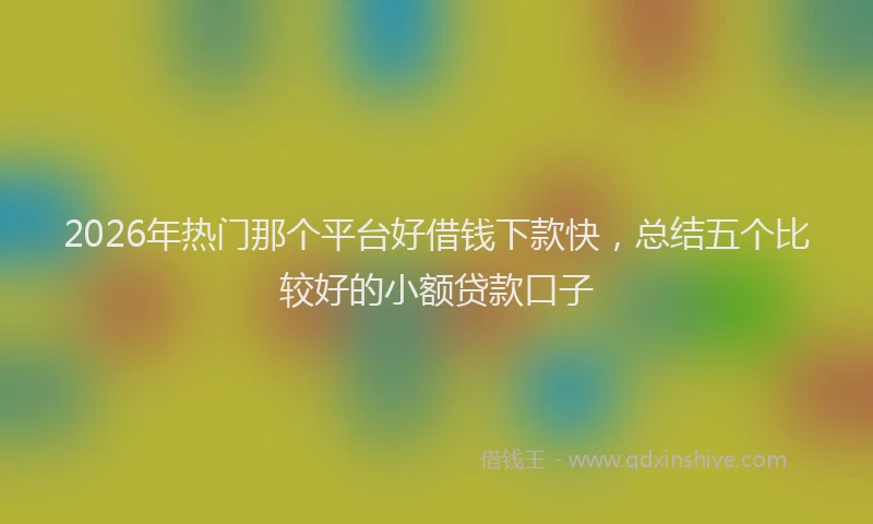 2026年热门那个平台好借钱下款快，总结五个比较好的小额贷款口子