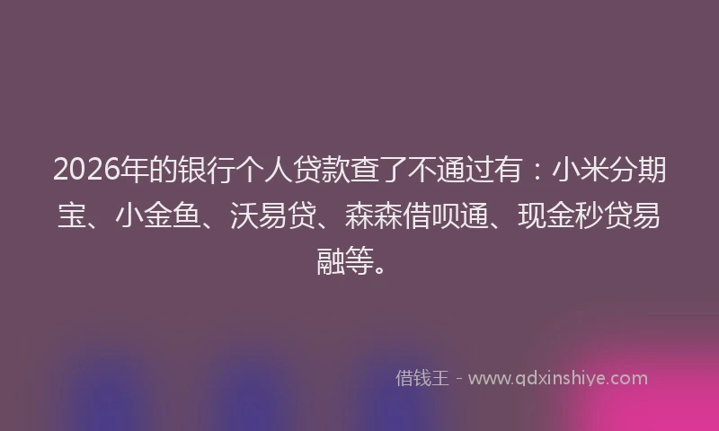 2026年的银行个人贷款查了不通过有：小米分期宝、小金鱼、沃易贷、森森借呗通、现金秒贷易融等。