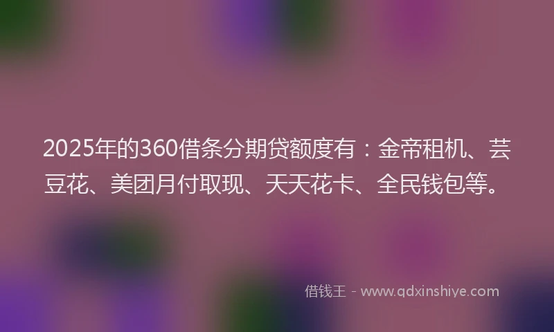 2025年的360借条分期贷额度有:金帝租机、芸豆花、美团月付取现、天天花卡、全民钱包等。