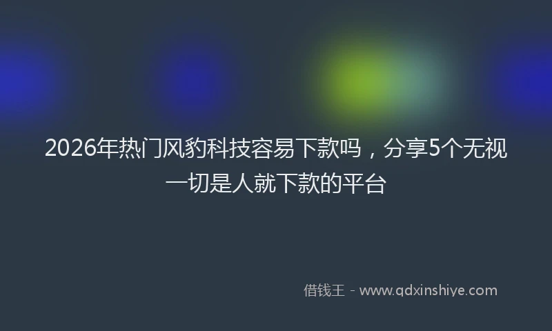 2026年热门风豹科技容易下款吗，分享5个无视一切是人就下款的平台