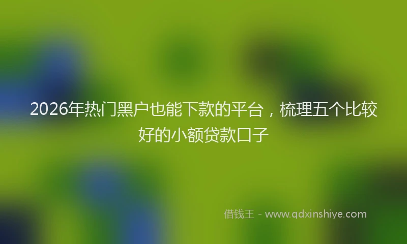 2026年热门黑户也能下款的平台，梳理五个比较好的小额贷款口子