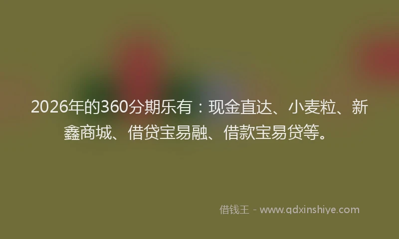 2026年的360分期乐有：现金直达、小麦粒、新鑫商城、借贷宝易融、借款宝易贷等。