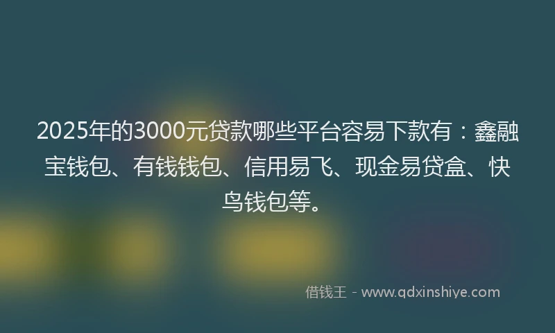 2025年的3000元贷款哪些平台容易下款有：鑫融宝钱包、有钱钱包、信用易飞、现金易贷盒、快鸟钱包等。