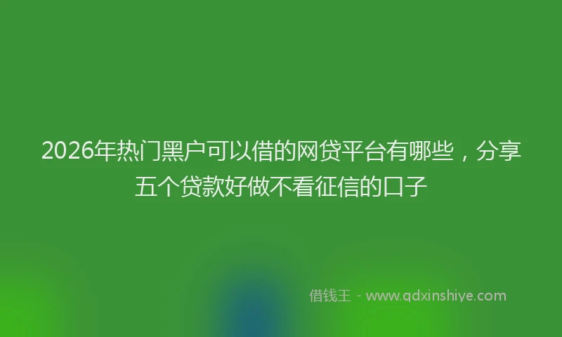 2026年热门黑户可以借的网贷平台有哪些，分享五个贷款好做不看征信的口子