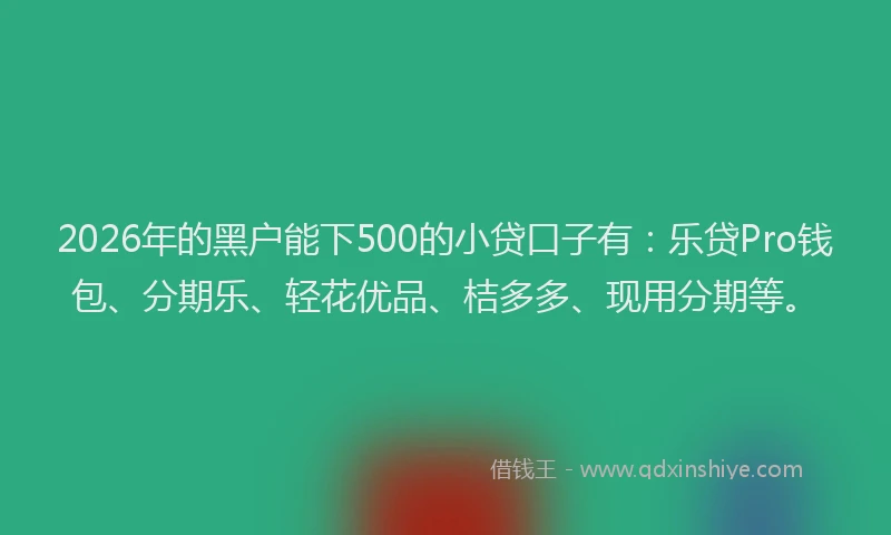 2026年的黑户能下500的小贷口子有：乐贷Pro钱包、分期乐、轻花优品、桔多多、现用分期等。
