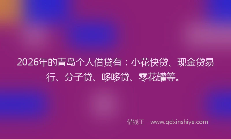 2026年的青岛个人借贷有：小花快贷、现金贷易行、分子贷、哆哆贷、零花罐等。
